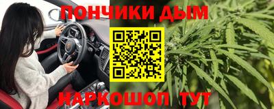 прущие грибы Волгодонск