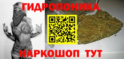 прущие грибы Волгодонск