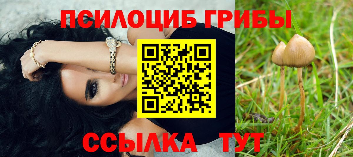 Псилоцибиновые грибы GOLDEN TEACHER  Галлюциногенные грибы Psilocybe  Вход с VPN  Нижневартовск 