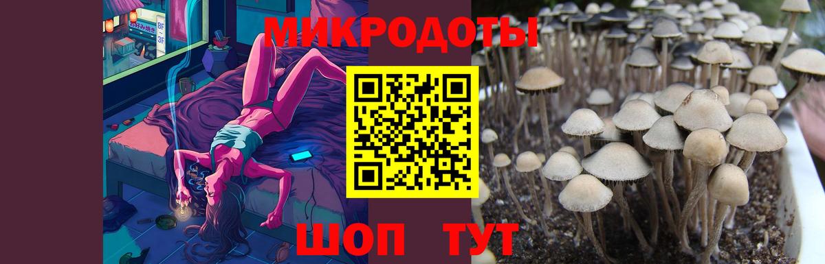 Псилоцибиновые грибы Magic Shrooms Нижневартовск